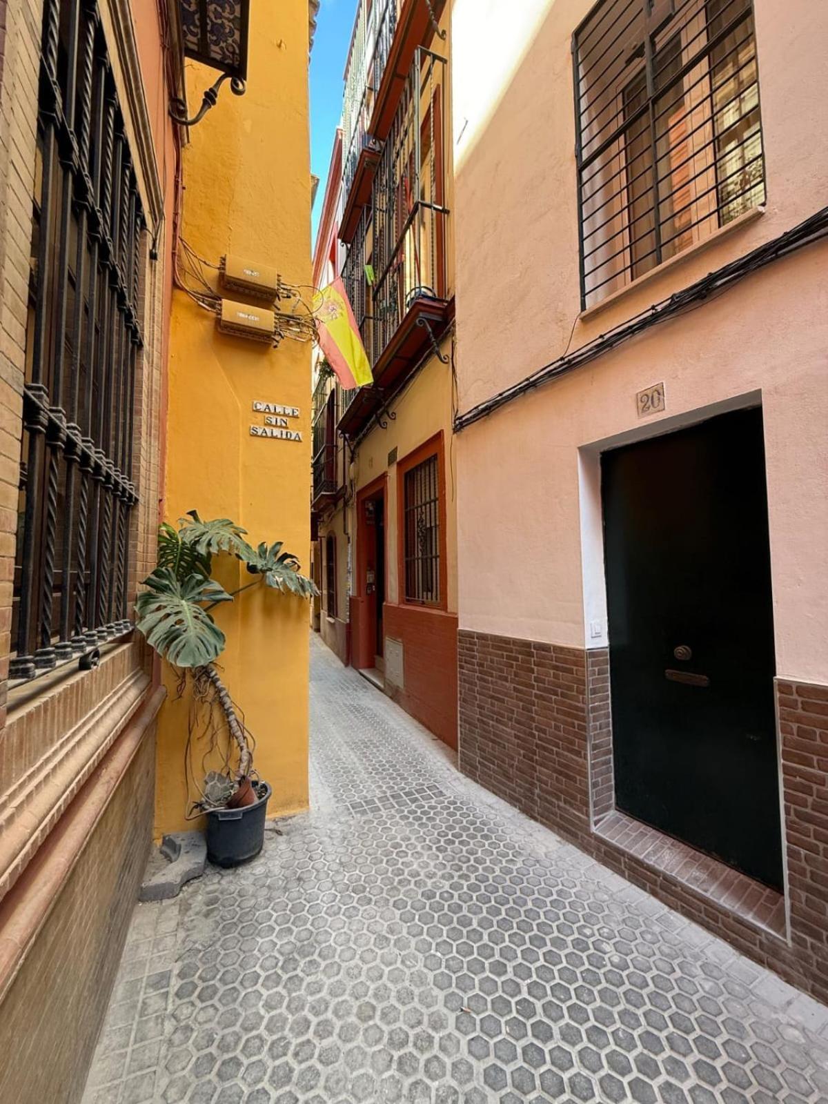 Masset Sevilla